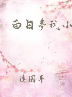 白日梦我小说