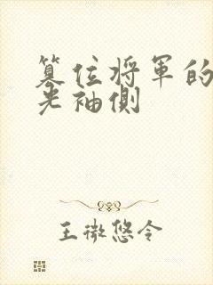 篡位将军的白月光袖侧