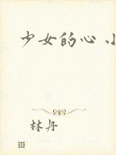 少女的心 小说