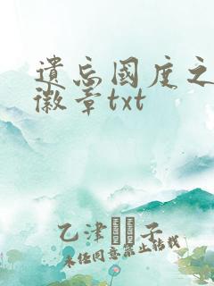 遗忘国度之神秘徽章txt