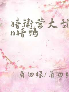 暗卫营大型hpn暗鸦