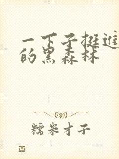 一下子挺进浓密的黑森林