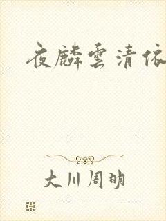 夜麟云清依小说