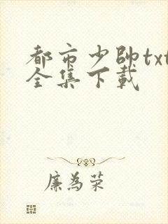 都市少帅txt全集下载