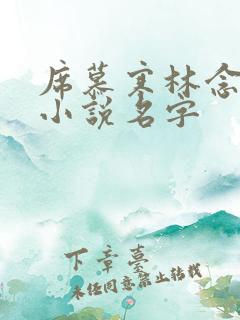 席慕寒林念儿的小说名字