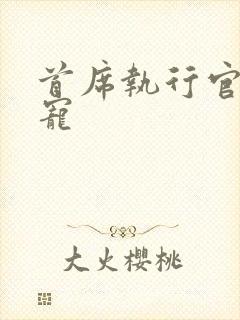 首席执行官的绝宠