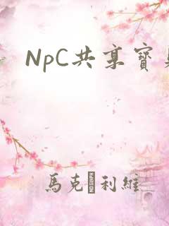 NpC共享宝贝
