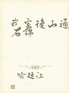 我家后山通仙界石锦