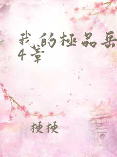 我的极品岳坶34章