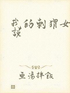 我的刺猬女孩小说