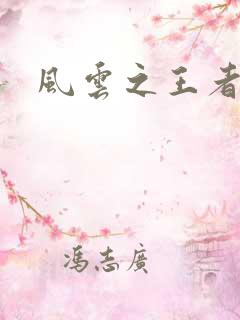 风云之王者人生