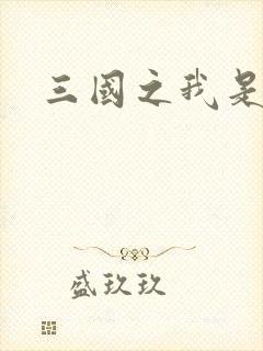 三国之我是华雄