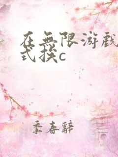在无限游戏里花式挨c