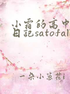 小霜的高中成长日记satofall
