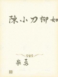陈小刀柳如意