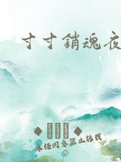 寸寸销魂夜春光