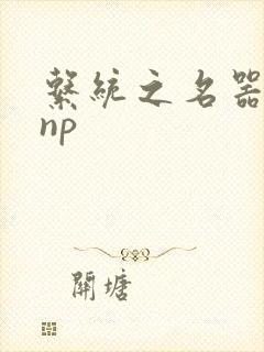 系统之名器攻略np