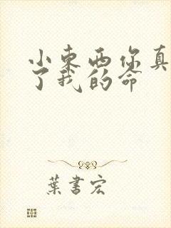 小东西你真能要了我的命