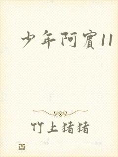 少年阿宾11