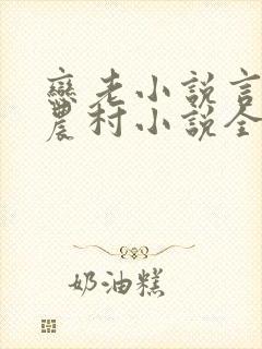 恋老小说言情网农村小说全文阅读