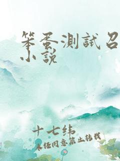笨蛋测试召唤兽小说