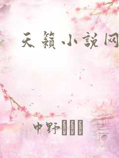 天籁小说网