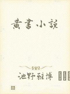 黄书小说