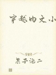穿越肉文小说