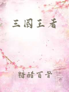 三国王者