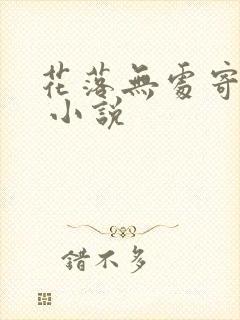 花落无处寄相思 小说