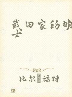 武田家的明国武士