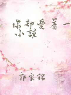 你却爱着一个他 小说