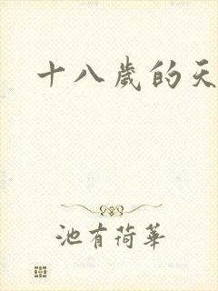 十八岁的天空续