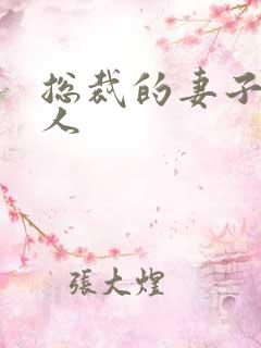 总裁的妻子太诱人