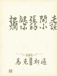 把腿张开老子臊烂你的小说