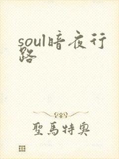 soul暗夜行路