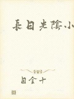 长日光阴小说