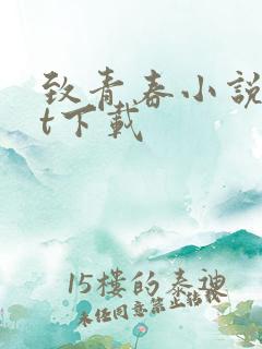 致青春小说txt下载