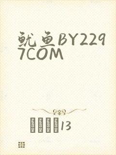 鱿鱼BY2297COM