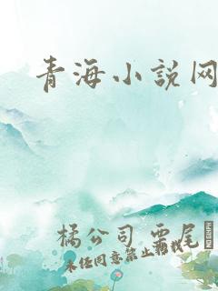 青海小说网