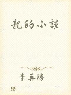 龙的小说