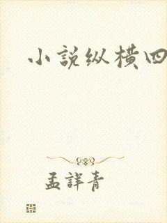 小说纵横四海