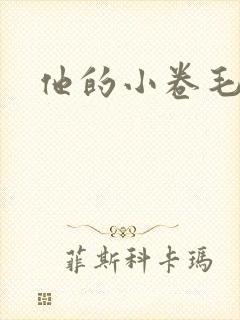他的小卷毛