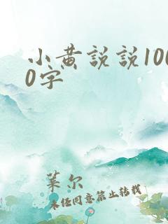 小黄说说1000字