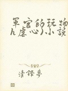 军官的玩物(高h虐心)小说