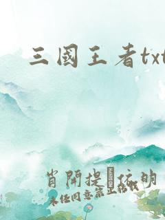 三国王者txt