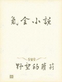氪金小说