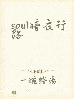soul暗夜行路