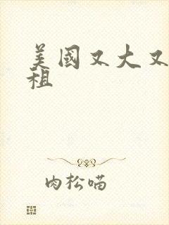 美国又大又长又租