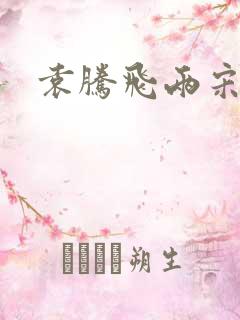 袁腾飞两宋风云